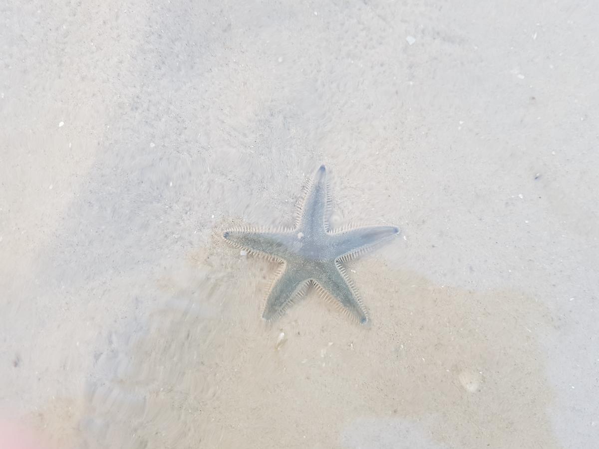 My Resort Hua Hin B111 المظهر الخارجي الصورة